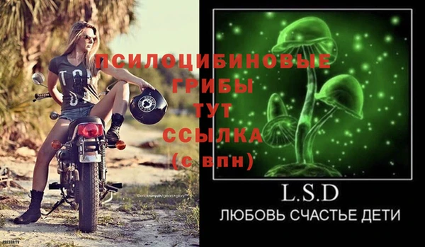 ешки Балахна